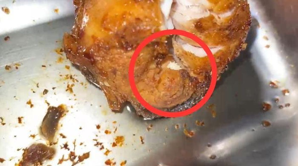 Menu Makan Bergizi Gratis di SMA Negeri 1 Telaga Gorontalo Ditemukan Larva Lalat, Sekolah Beri Klarifikasi