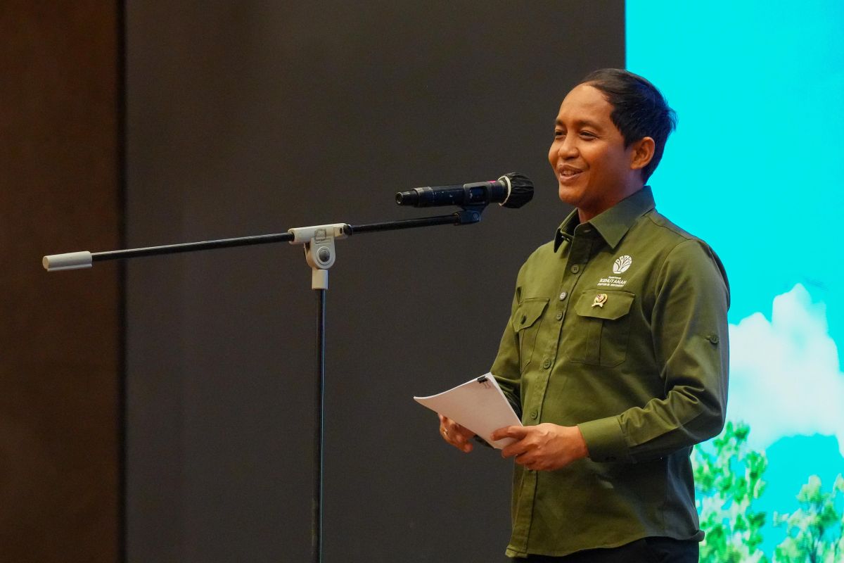 Potensi Kredit Karbon RI