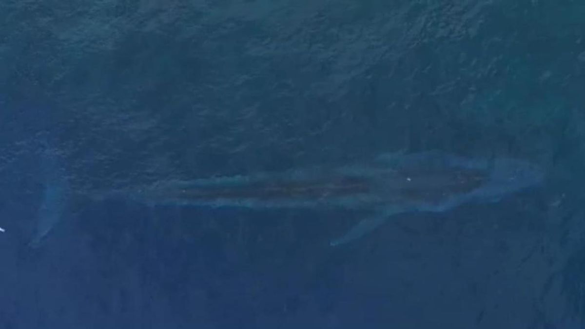 Teluk Tomini Gorontalo